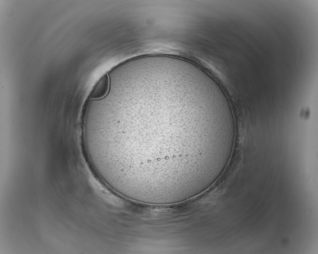 X0000111391471200907241322