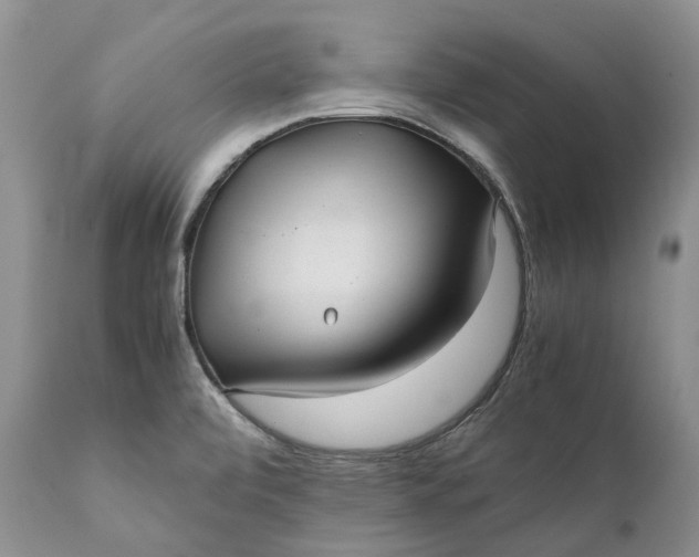 X0000111391472200907241322