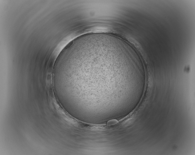 X0000111391473200907241322