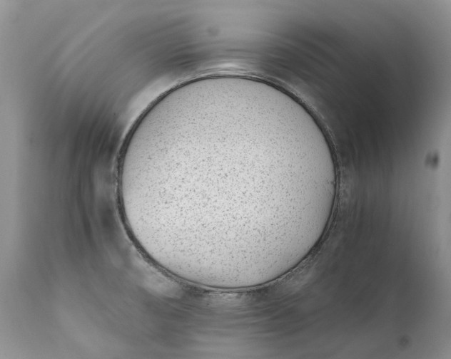 X0000111391474200907241322