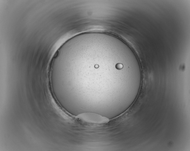 X0000111391475200907241322