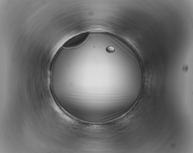 X0000111391476200907241322