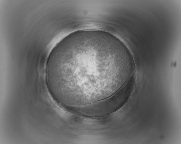 X0000111391477200907241322