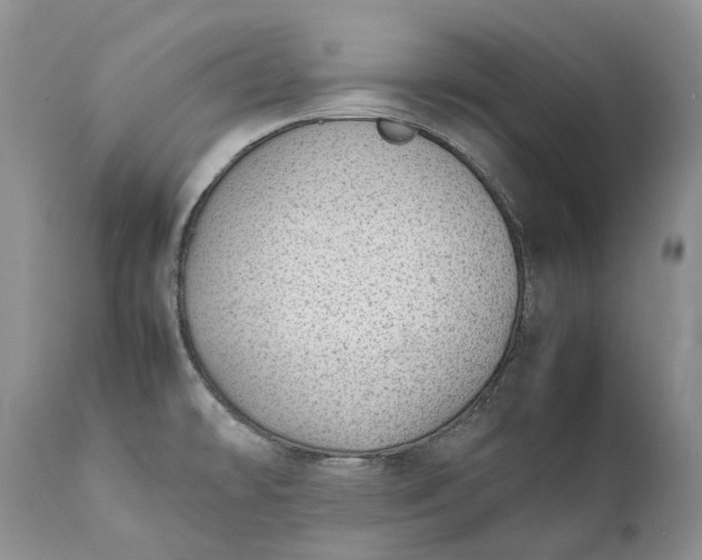 X0000111391478200907241322