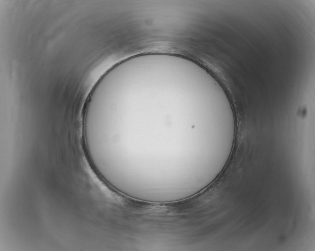 X0000111391479200907241321