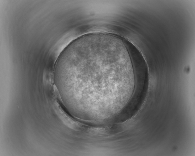 X0000111391481200907241321