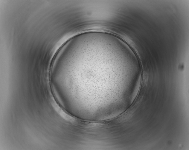 X0000111391482200907241321