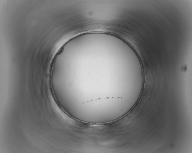 X0000111391483200907241321