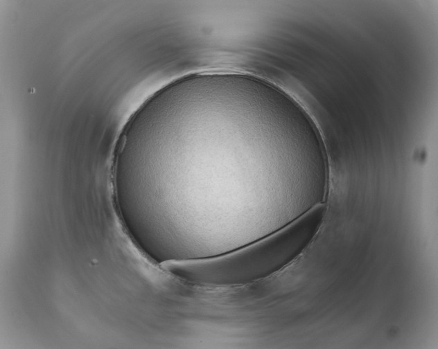 X0000111391485200907241321