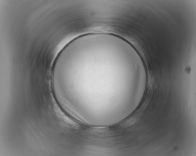 X0000111391486200907241321