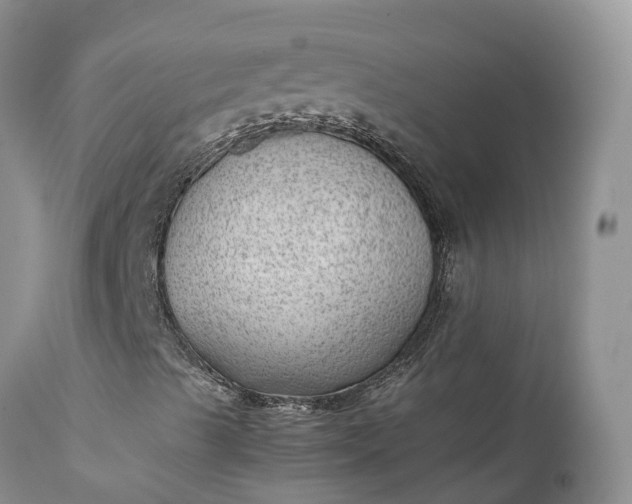 X0000111391489200907241321