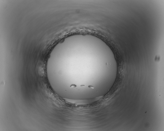 X0000111391490200907241321