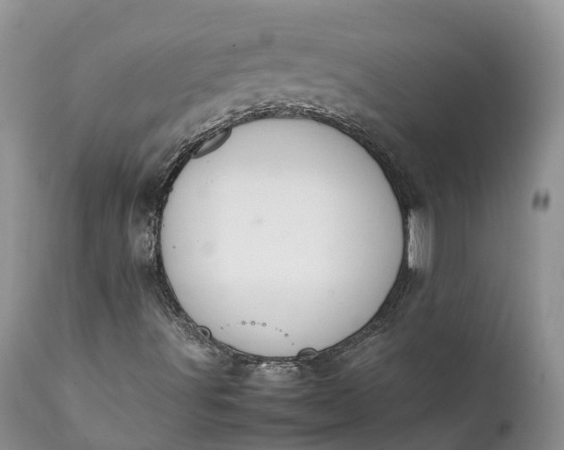 X0000111391491200907241321