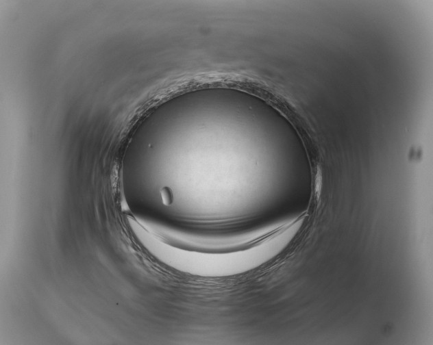 X0000111391492200907241321