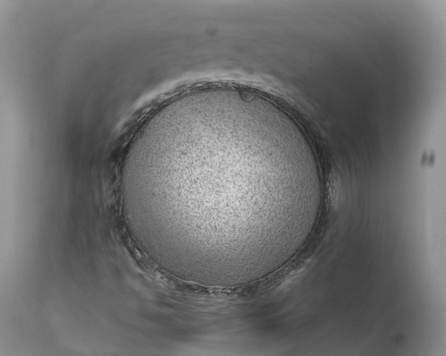 X0000111391494200907241321