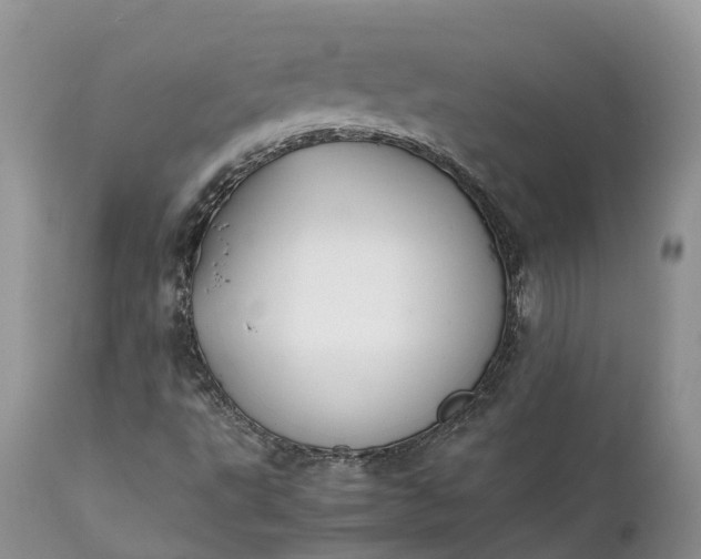 X0000111391495200907241321