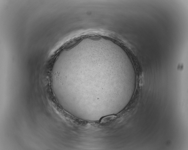 X0000111391496200907241321