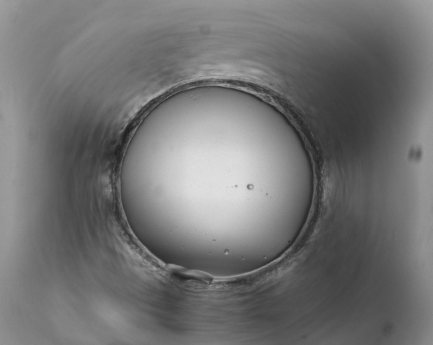 X0000111391497200907241321