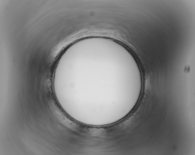 X0000111391498200907241321