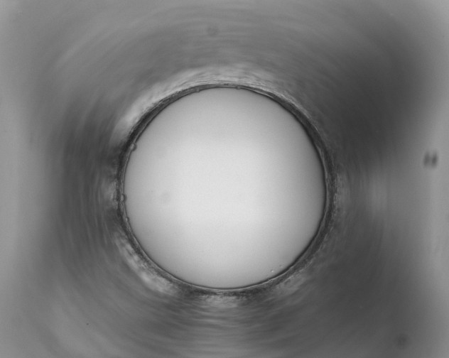 X0000111391499200907241321