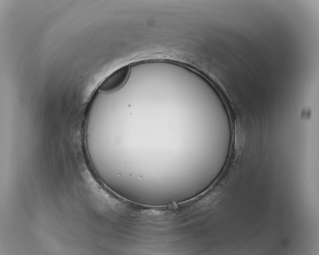 X0000111391500200907241321