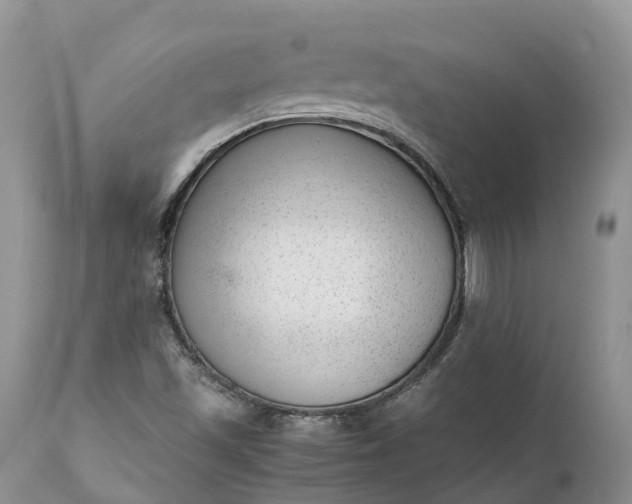 X0000111391501200907241321