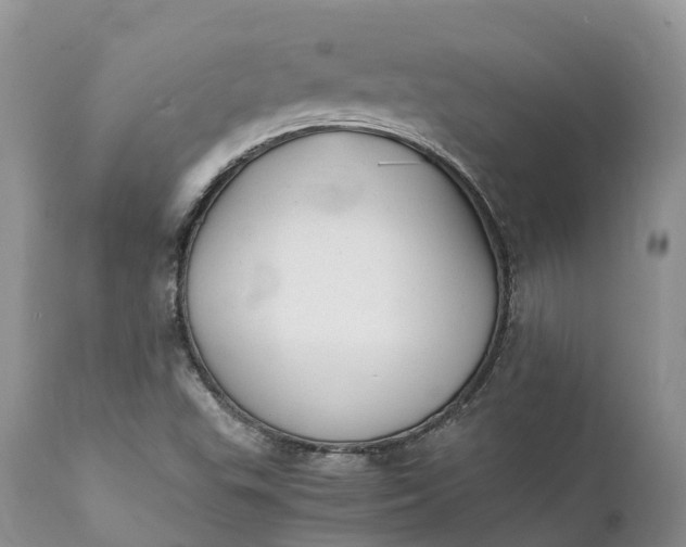 X0000111391503200907241321