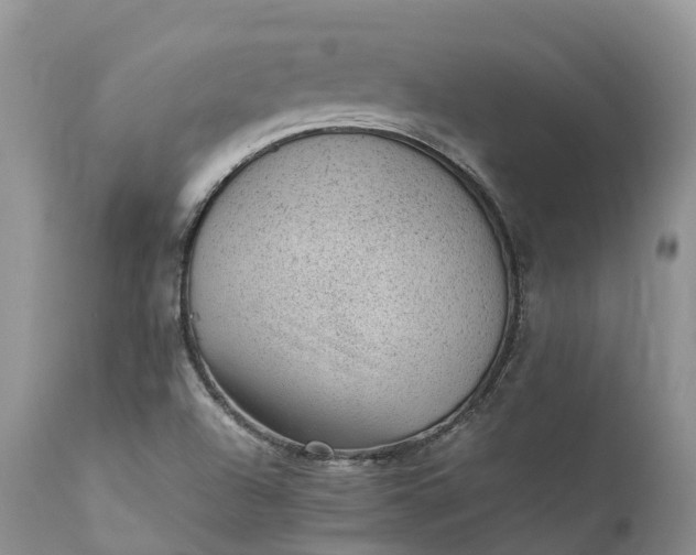 X0000111391504200907241321