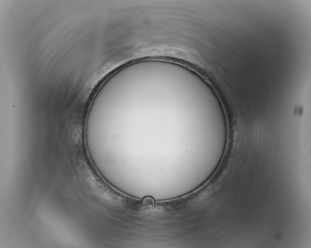 X0000111391505200907241321