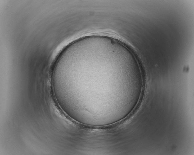 X0000111391506200907241321