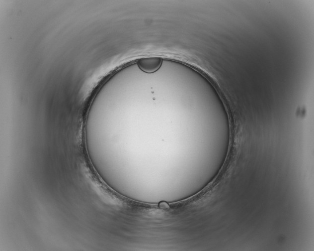 X0000111391507200907241321