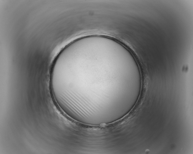 X0000111391508200907241321