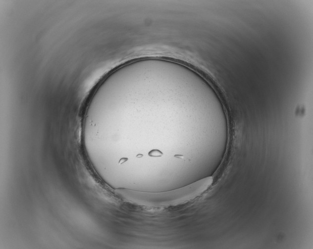 X0000111391509200907241321