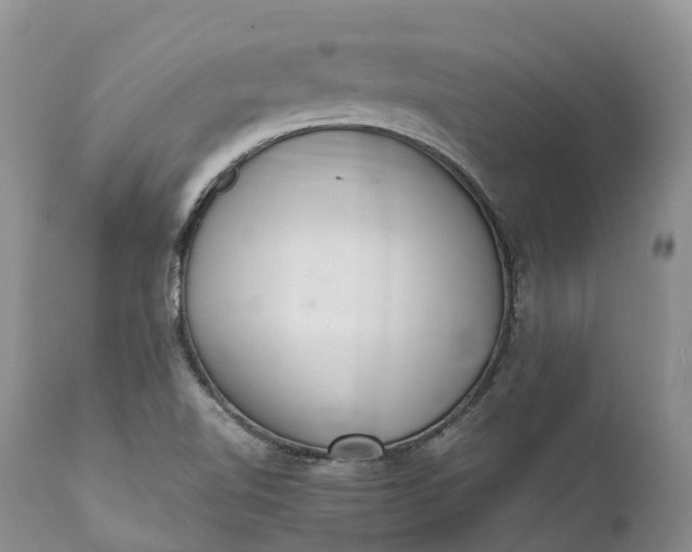 X0000111391510200907241321