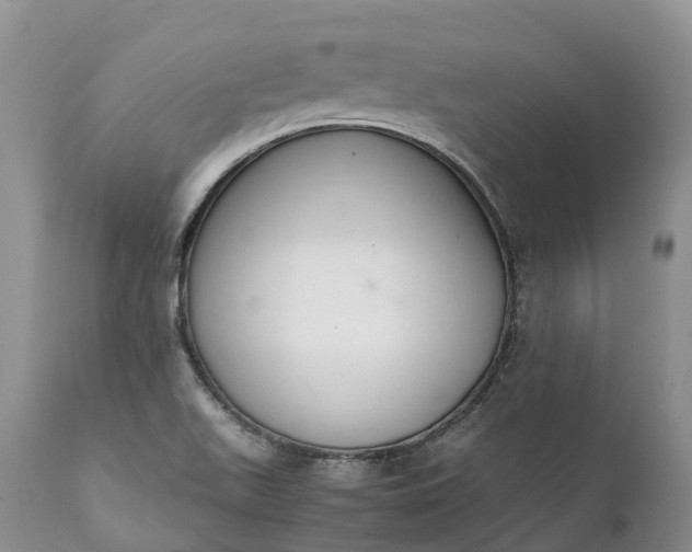 X0000111391511200907241321