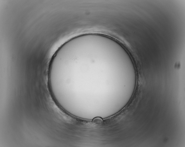 X0000111391512200907241321