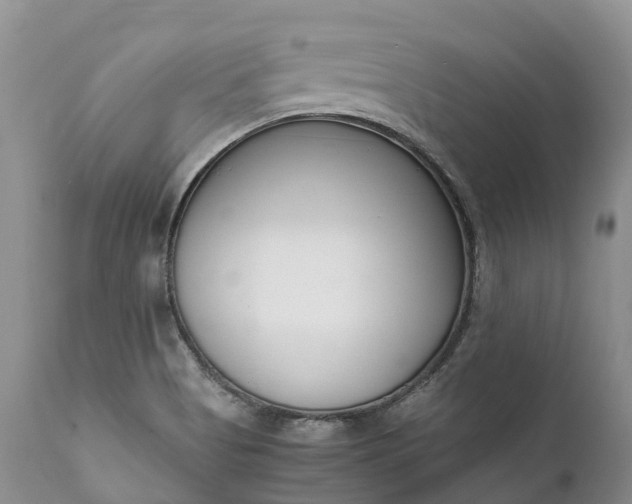 X0000111391513200907241321