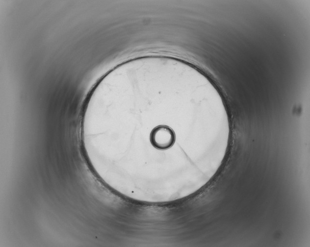 X0000111391514200907241321