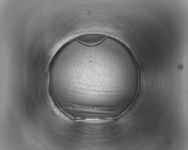 X0000111391515200907241321