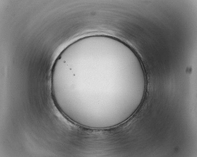 X0000111391516200907241321