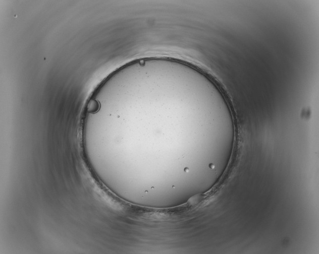 X0000111391517200907241321