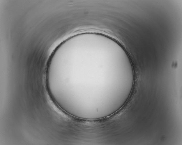 X0000111391518200907241321