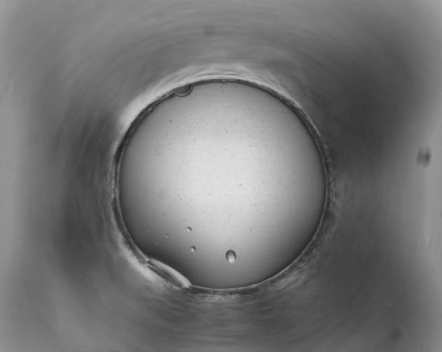 X0000111391519200907241321