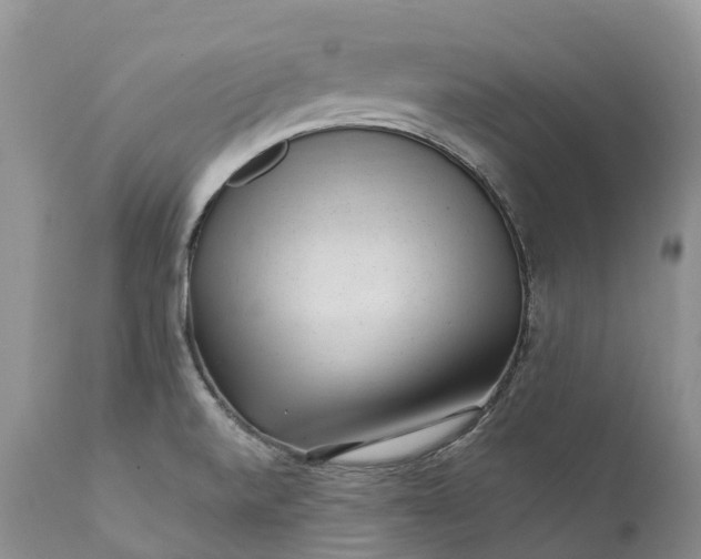 X0000111391520200907241321