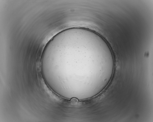 X0000111391521200907241321