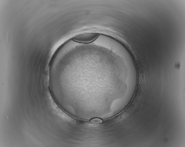 X0000111391522200907241321