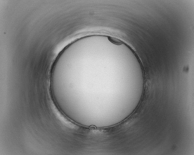 X0000111391523200907241321