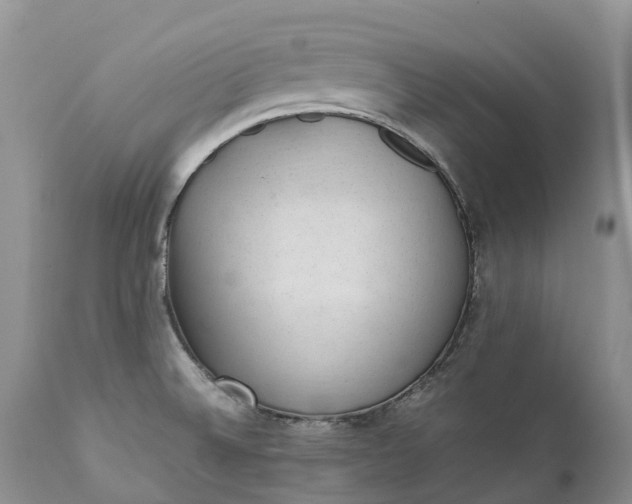 X0000111391524200907241321