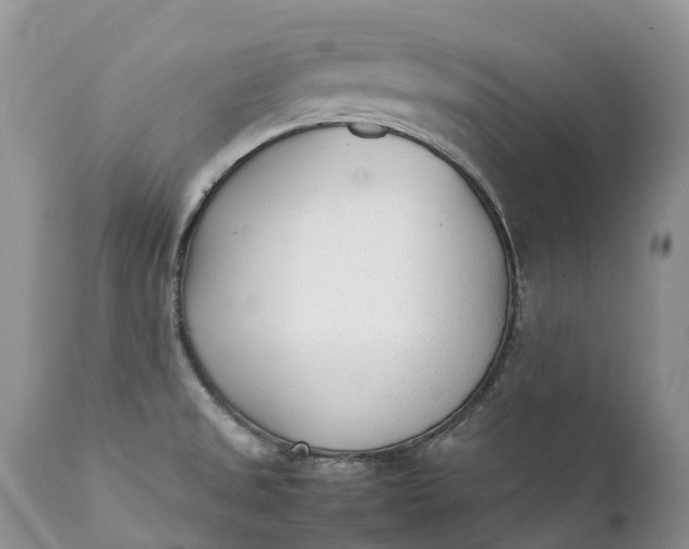 X0000111391525200907241321