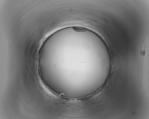 X0000111391526200907241321